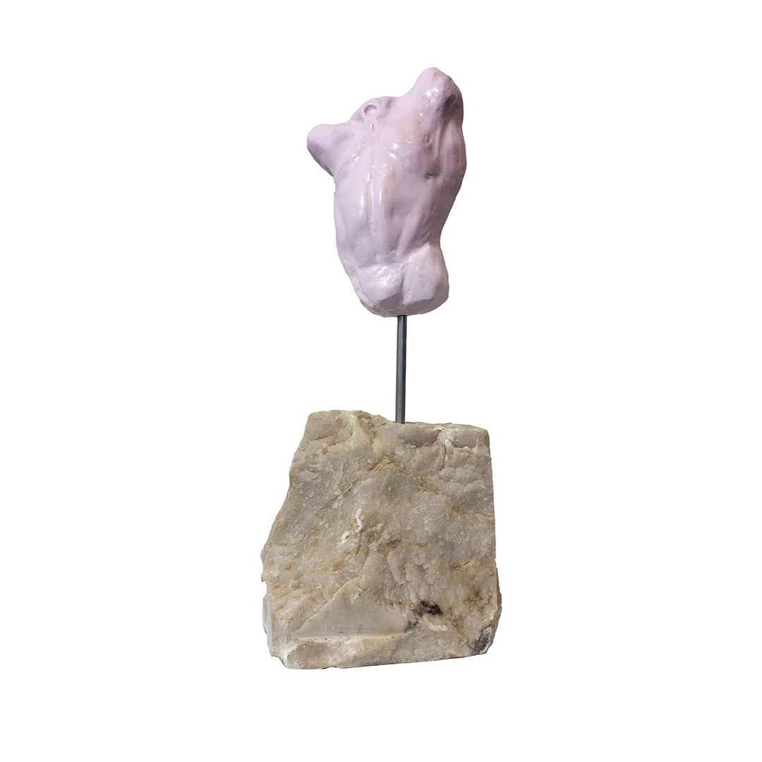 Dondurma Serisi – Pembe Torso